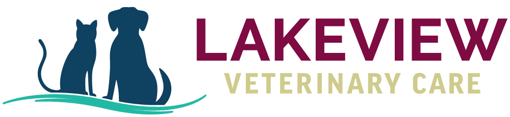 vet internist near me